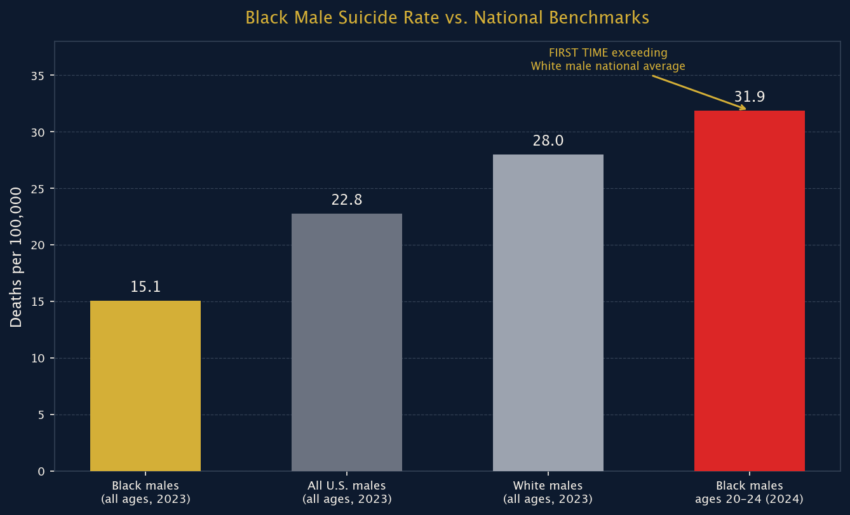 Figure 1: Black Male Suicide Rate vs. National Benchmarks