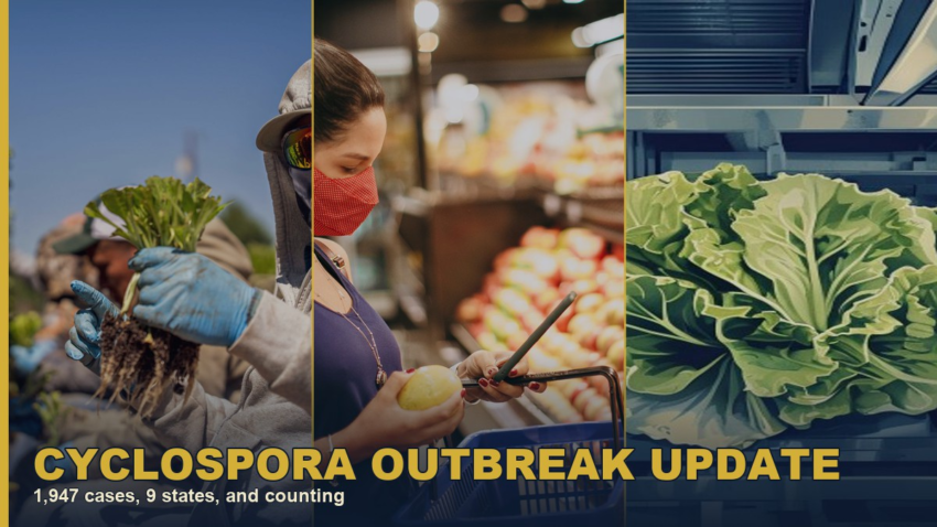 Cyclospora Outbreak Update