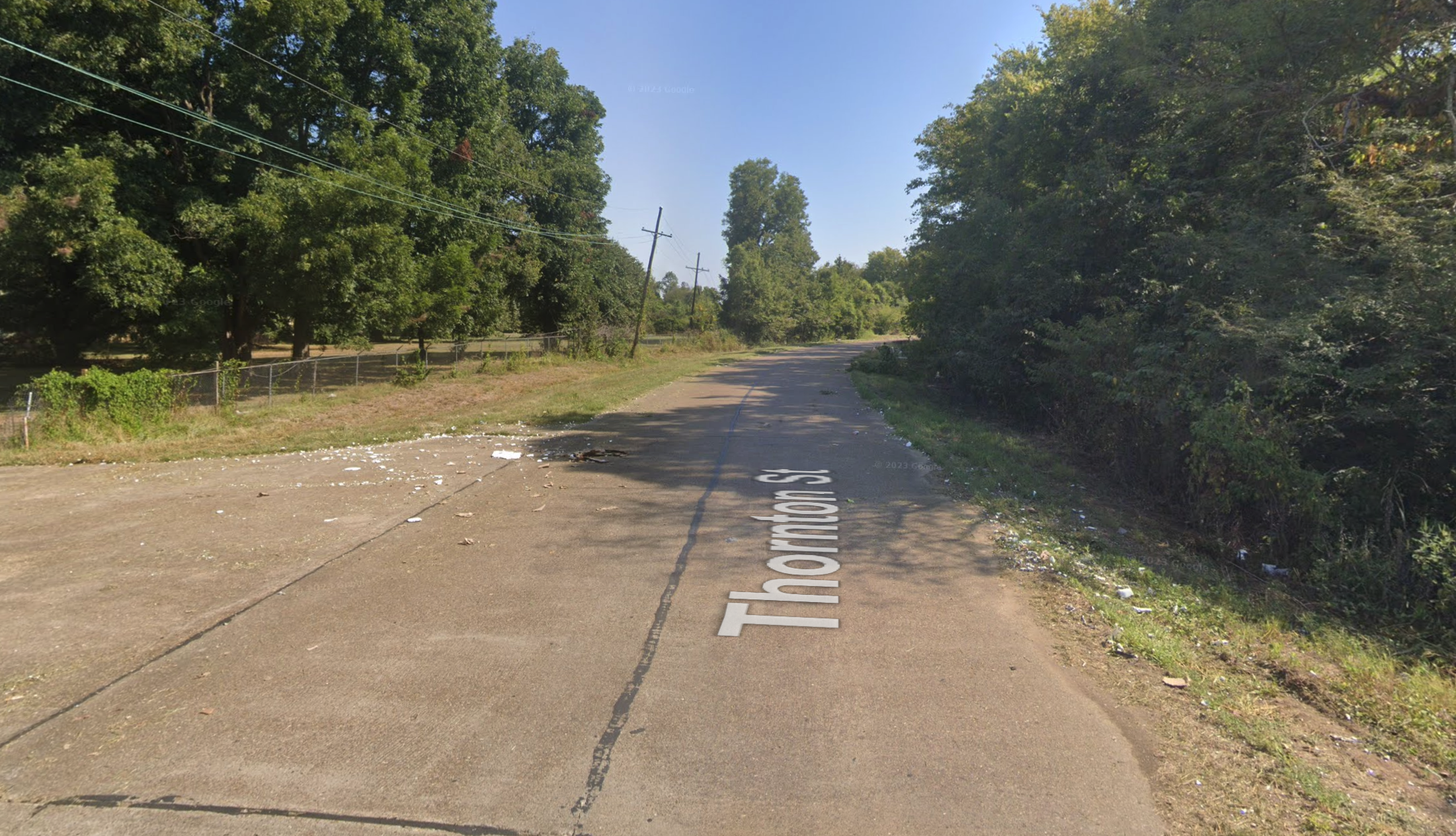 Thornton Street, Greenville, Mississippi, looking down the road toward the wooded roadside