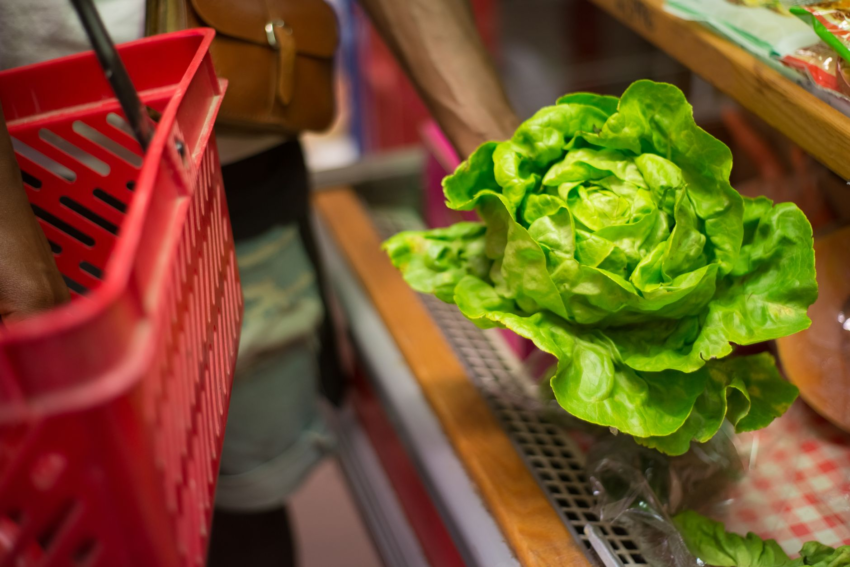 Recalled Lettuce Parasite Expands to 2 New States as FDA Traces Sales