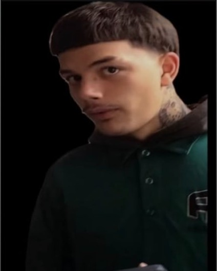 Image released by the Bureau County Sheriff's Office of the man it says went door to door in Lamoille, Ill., claiming to be an Ameren employee: a young man with short dark hair, wearing a dark green polo shirt over a dark hooded top.