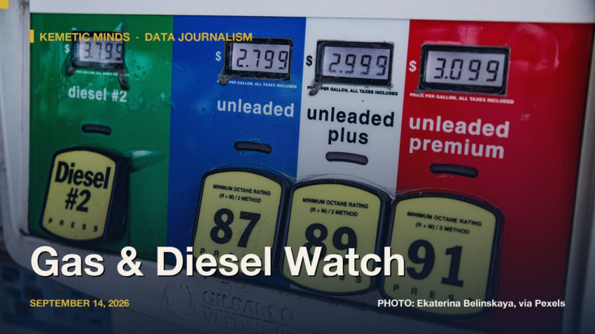Fuel pump with rising diesel and gasoline prices