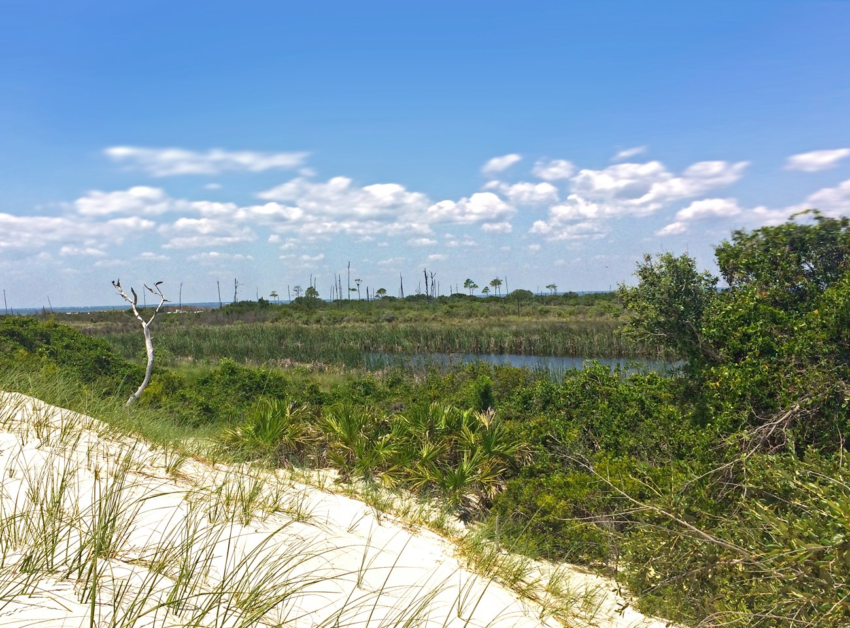 Wetlands on Horn Island, Mississippi, June 2018. Archival location photograph; it does not depict the events of July 2026.