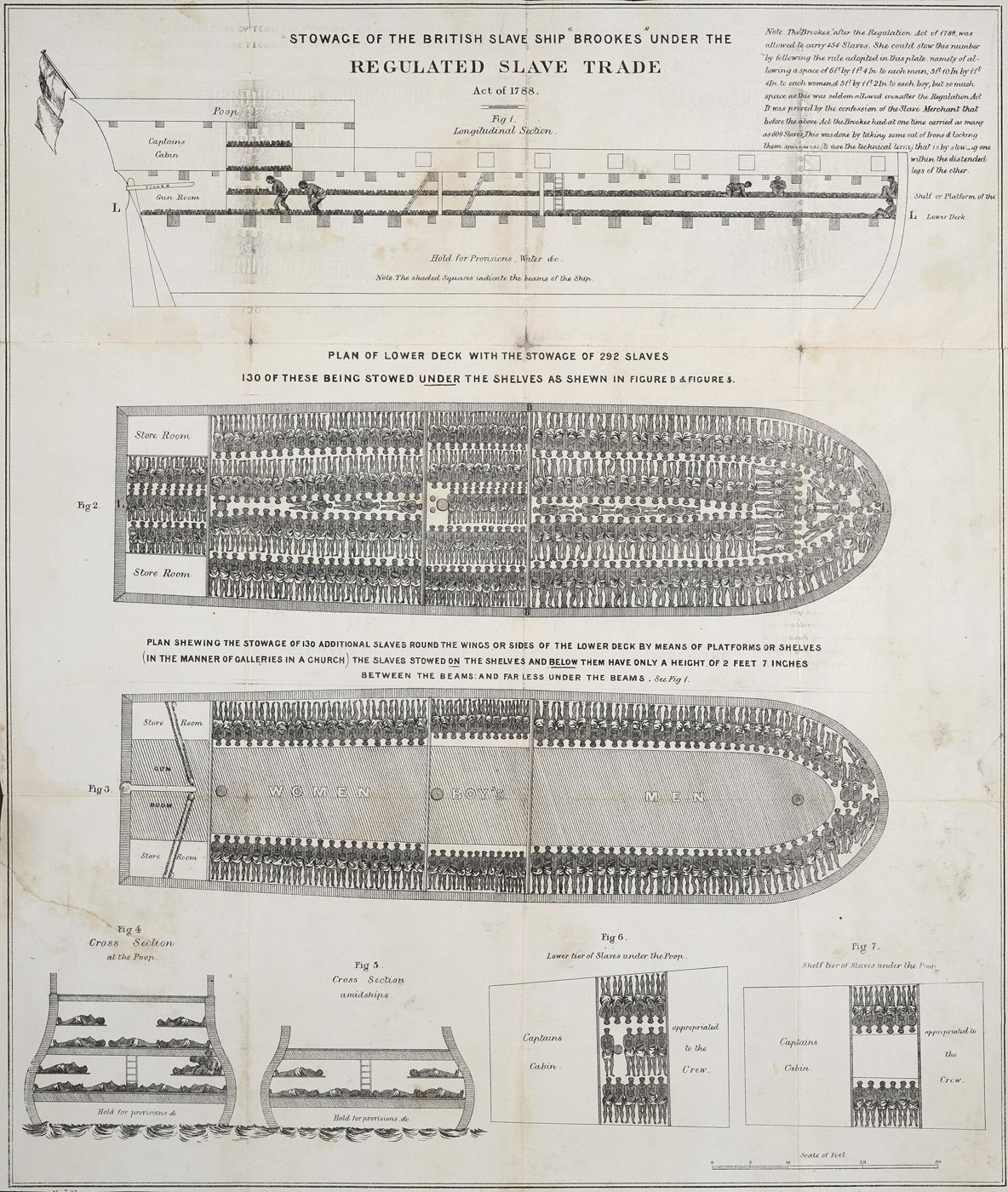 1788 diagram of the slave ship Brookes showing enslaved people packed into the hold