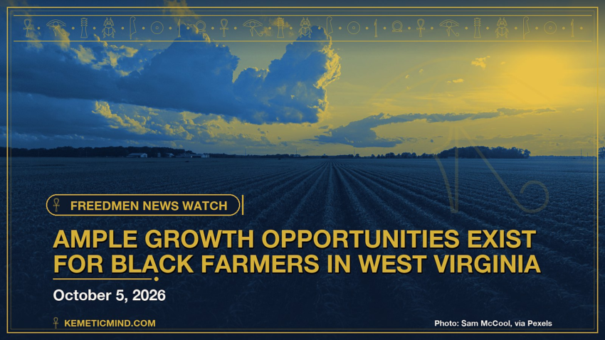 Ample Growth Opportunities Exist for Black Farmers in West Virginia. Photo: Sam McCool, via Pexels