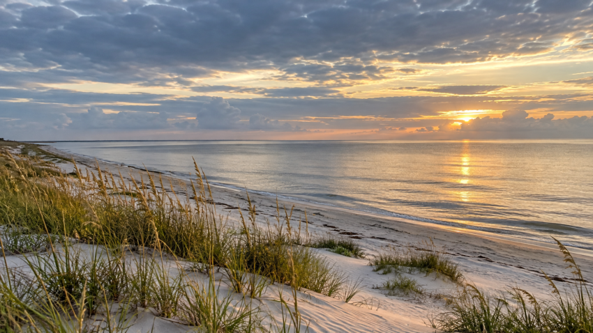 AI-generated illustrative view of a Gulf Coast barrier island shoreline; not a photograph from the Nolan Wells case.