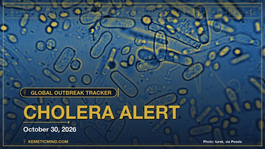 Cholera Alert. Photo: turek, via Pexels