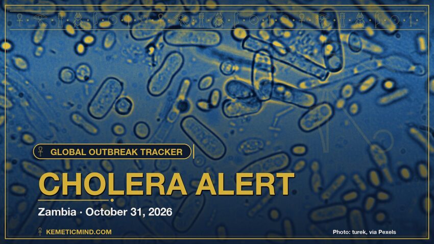 Cholera Alert. Photo: turek, via Pexels
