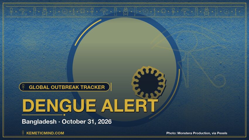 Dengue Alert. Photo: Monstera Production, via Pexels