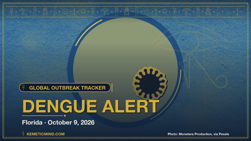 Dengue Alert. Photo: Monstera Production, via Pexels