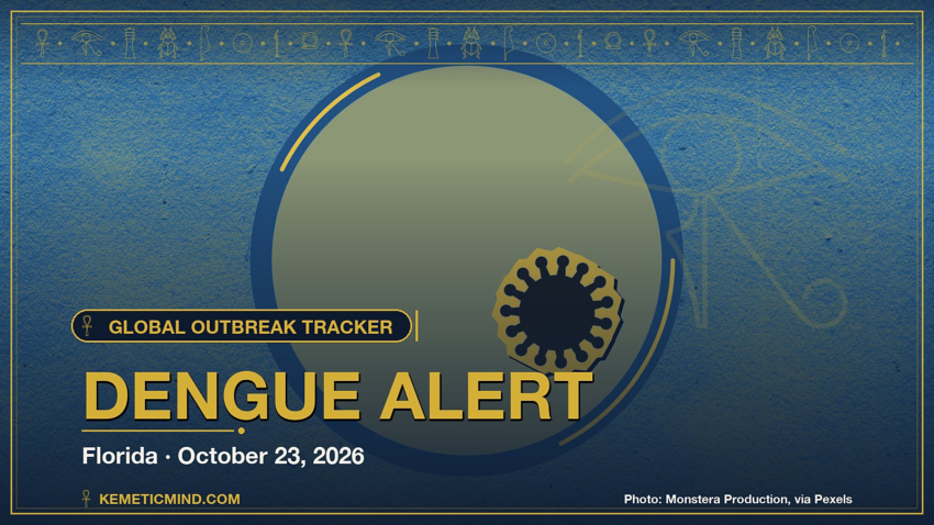 Dengue Alert. Photo: Monstera Production, via Pexels
