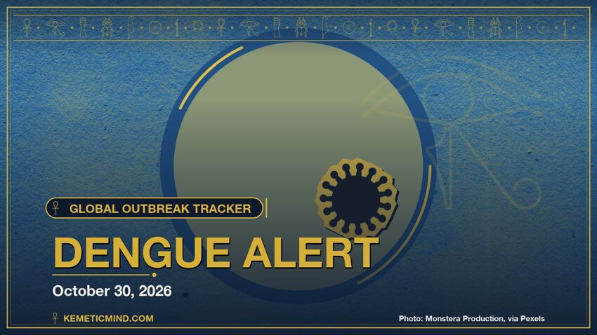 Dengue Alert. Photo: Monstera Production, via Pexels