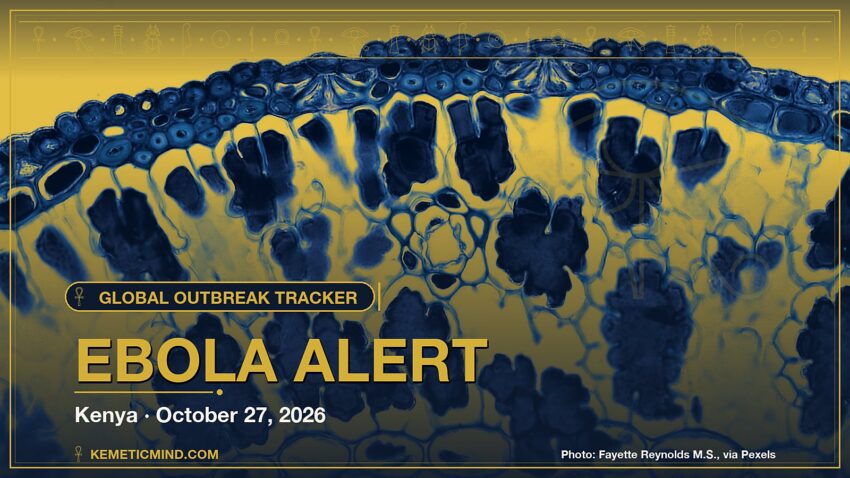 Ebola Alert. Photo: Fayette Reynolds M.S., via Pexels