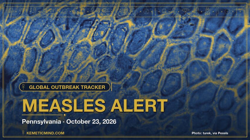 Measles Alert. Photo: turek, via Pexels