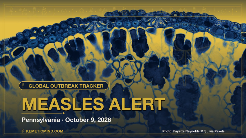 Measles Alert. Photo: Fayette Reynolds M.S., via Pexels