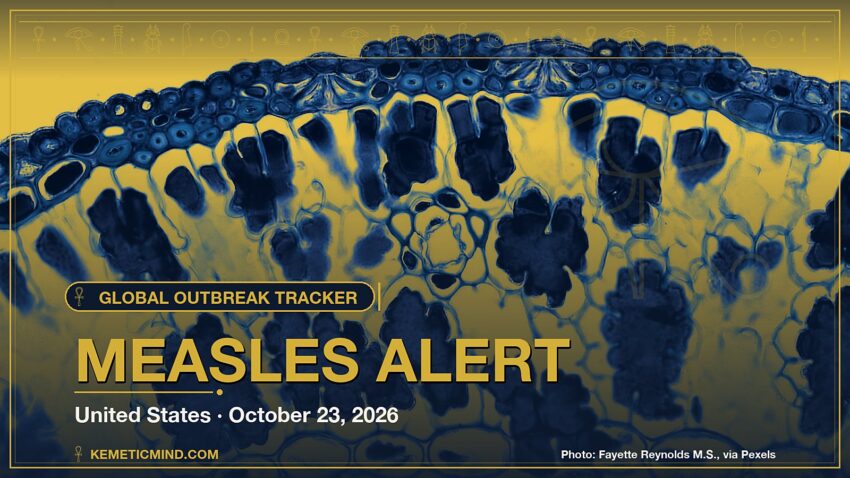 Measles Alert. Photo: Fayette Reynolds M.S., via Pexels