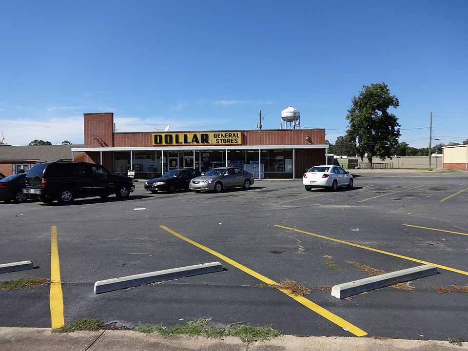 Street-level photo: Dollar General, 1009 Main St, Perry, Houston County, Georgia